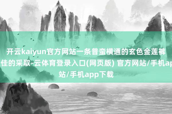 开云kaiyun官方网站一条普蛮横通的玄色金莲裤即是最佳的采取-云体育登录入口(网页版) 官方网站/手机app下载