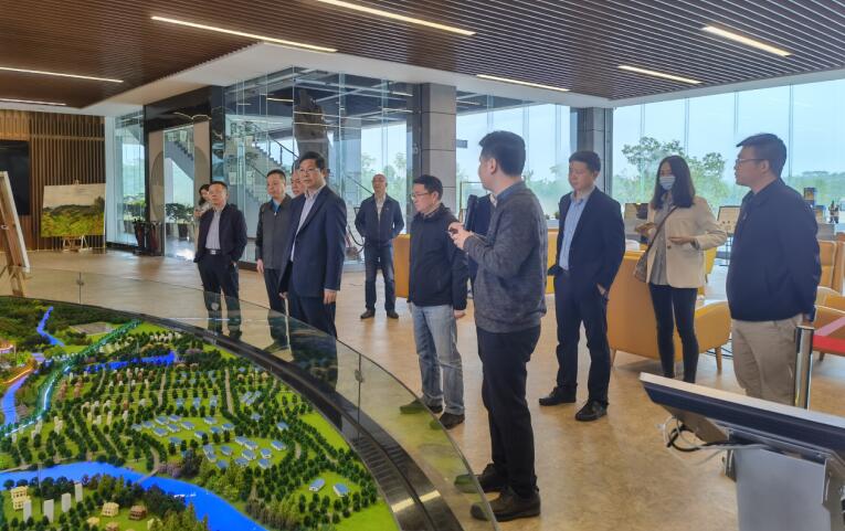 广西旅发集团党委书记、董事长容贤标考察集团文旅项目